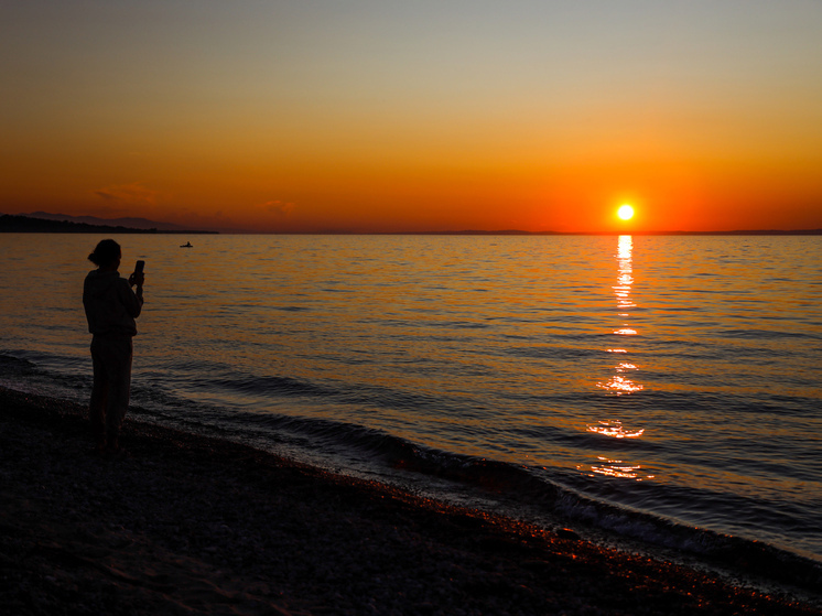 В Госдуме РФ провели круглый стол, посвященный законопроекту о сплошных рубках на Байкале