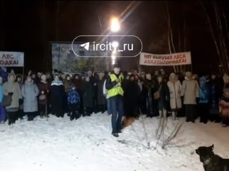 В последнее время в СМИ и по соцсетям активно разгоняются протестные настроения против вырубки части рощи в Академгородке – той части, которая примыкает к Институту солнечно-земной физики