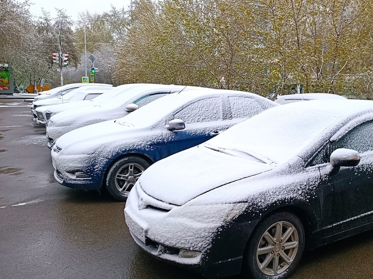 На Сортировке в Екатеринбурге воруют зеркала с автомобилей