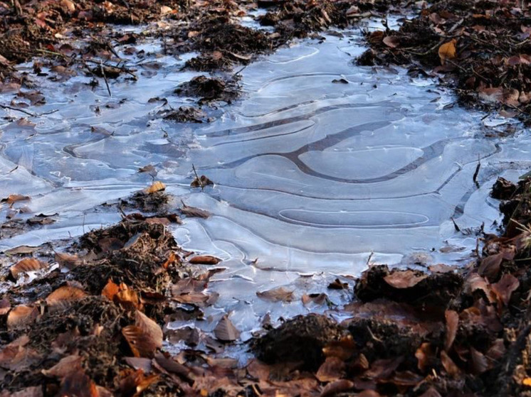 Федор Студит землю студит: какие приметы и запреты на 24 ноября сулят удачу