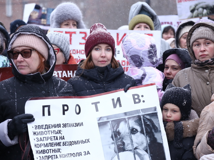 Новосибирские зоозащитники вышли на акцию протеста против законопроекта об эвтаназии