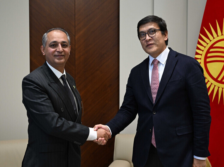 Эдиль Байсалов встретился с новым Послом Пакистана в Кыргызстане