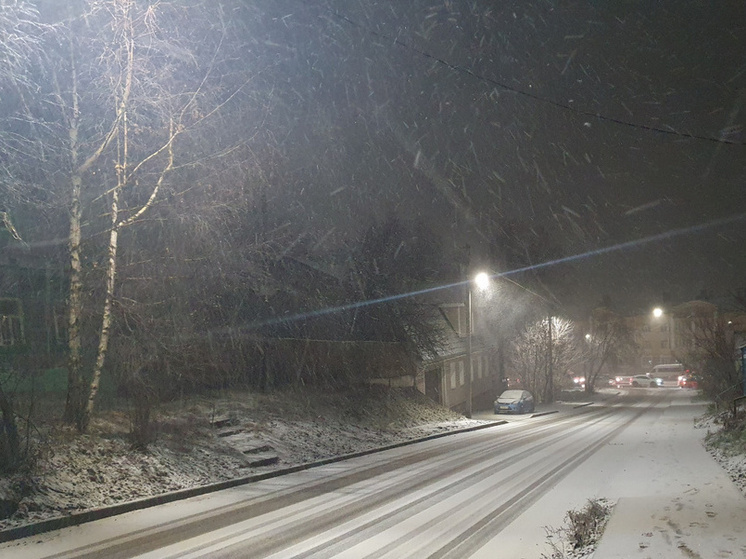 В понедельник в Костроме ждут мокрый снег и сильный ветер