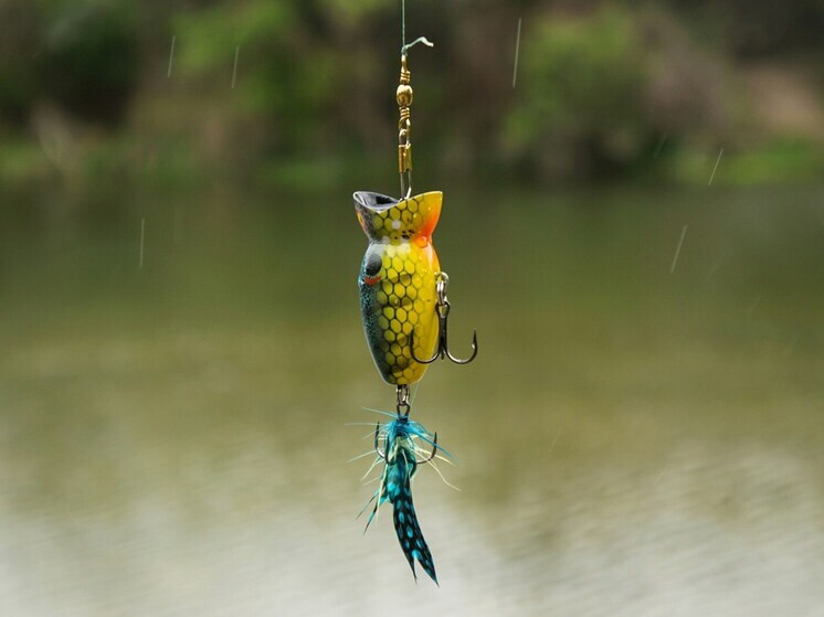 В Бурятии мужчину обвиняют в приобретении незаконно добытого омуля