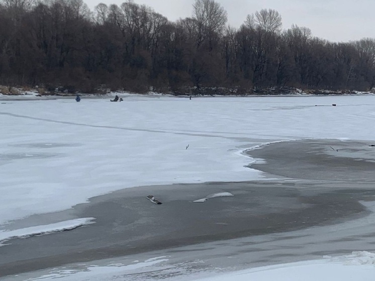 В Рубцовске пожилой мужчина утонул во время охоты на озере