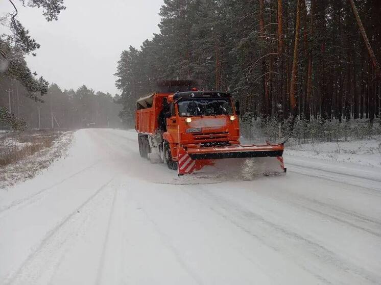 Более 300 спецмашин очищают трассы Алтайского края в период мощных снегопадов