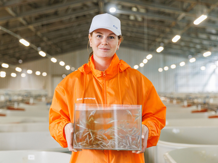 В реки Тюменской области выпустили мальков осетра, выращенного на Абалакском рыбзаводе