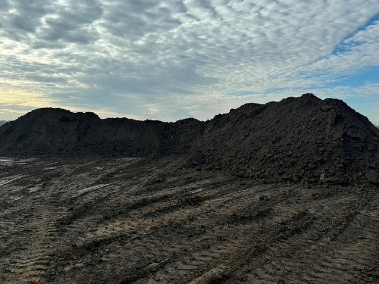 В Барнауле землекопы-нелегалы похитили три тысячи «кубов» плодородной земли