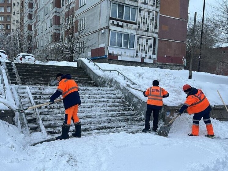 Новосибирские дорожные службы вывезли 58 тысяч кубометров снега за трое суток