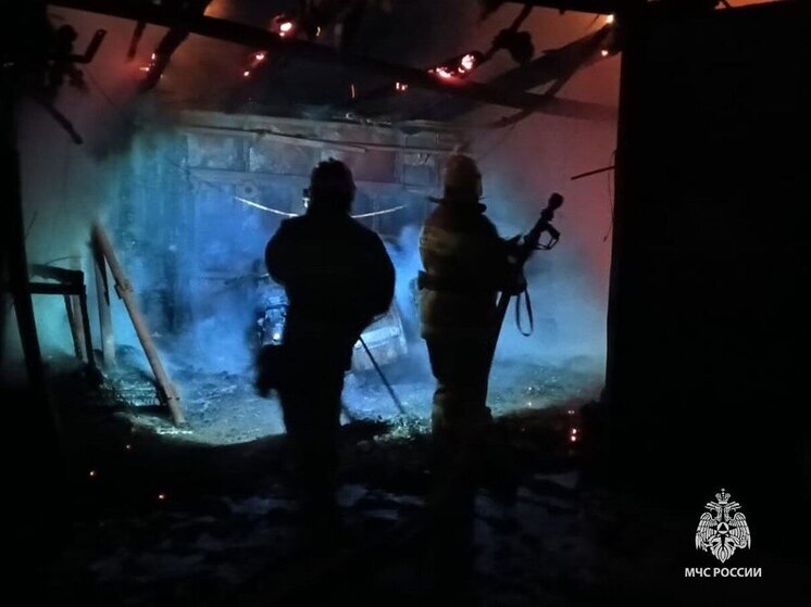 В деревне Ламоново Белёвского района пожар уничтожил сарай и гараж с автомобилем