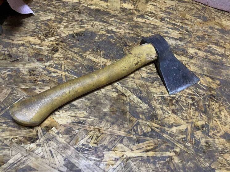 Жителю одного из сел Алтайского края вынесли строгий приговор за угрозу, а также покушение убийства. Мужчина сначала приставил нож к горлу своего друга, а потом ударил его острием топора по голове.