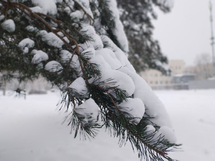 Санкт-Петербург 24 ноября будет заметать мокрый снег