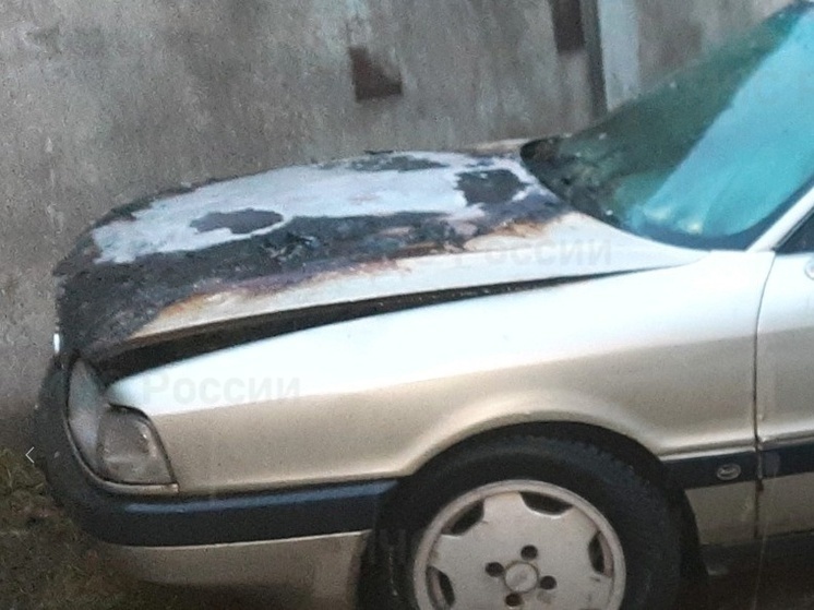 Под Брянском сгорела иномарка: никто не пострадал