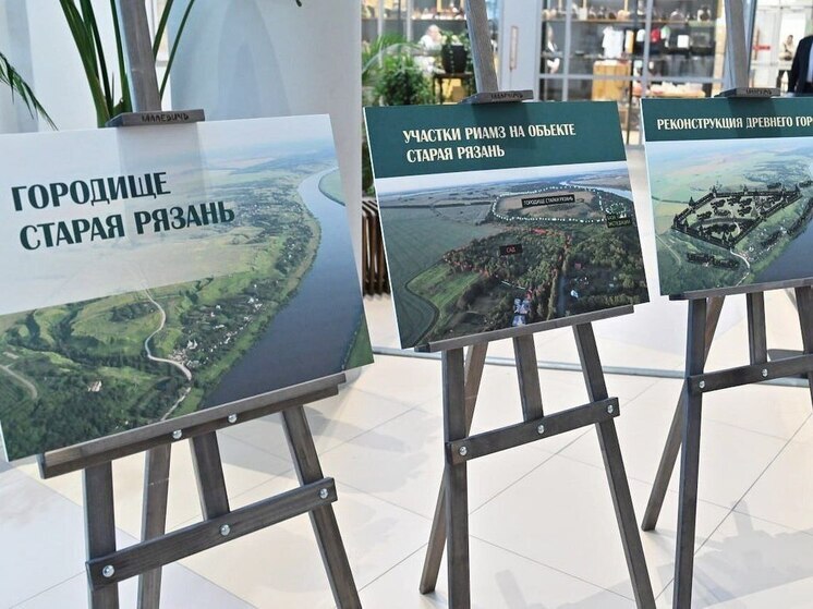 Учёные нашли останки европейской женщины при раскопках в Старой Рязани