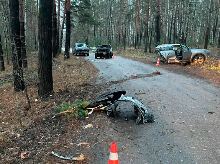 В Липецкой области 19-летний пассажир погиб в результате аварии с деревом