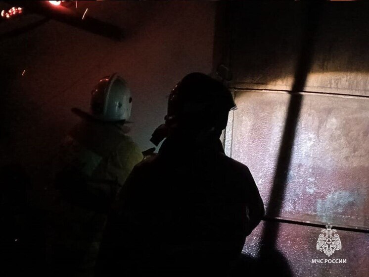  В деревне Каменка Венёвского района пожар повредил постройку