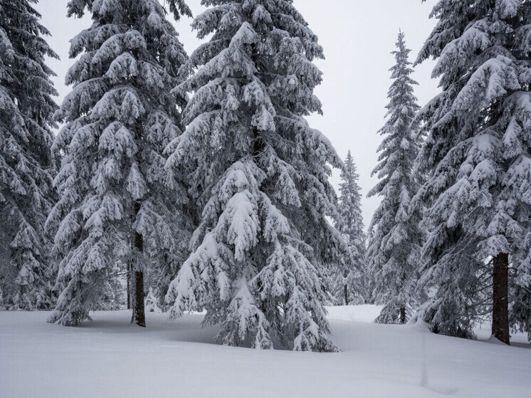В Югре ожидаются снег, метель и перепады температуры