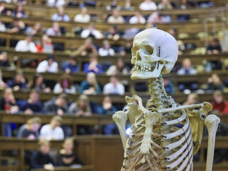 Минздрав установил дифференцированные сроки наставничества для молодых врачей