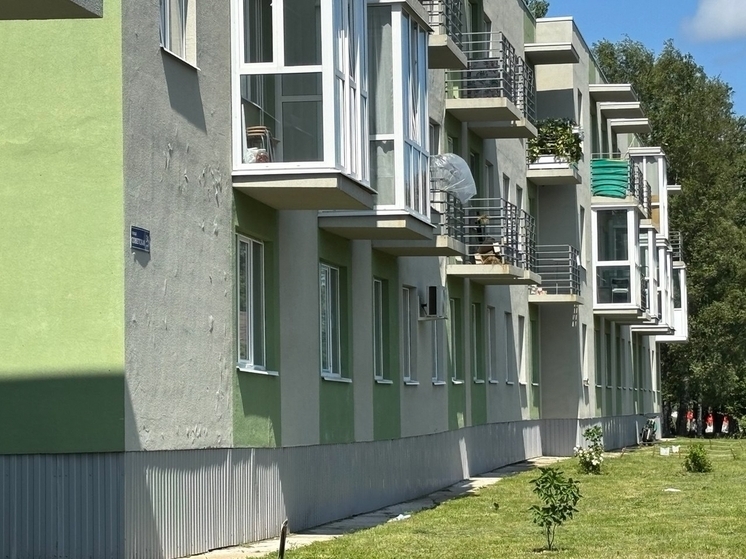 Судьба жилого комплекса «Дубровка на Неве» в поселке Дубровка не сложилась практически сразу. А сейчас жители малоэтажного дома на Советской улице каждый день боятся того, что здание сложится им на головы. Они надеются, что решить их проблему смогут 28-летний глава МО «Дубровское сельское поселение» Элчин Саядович Алиев и вице-спикер Ленобласти, почетный житель Всеволожского района Саяд Исбарович Алиев. Отец и сын имели отношение к компаниям, которые строили и достраивали злополучный ЖК.