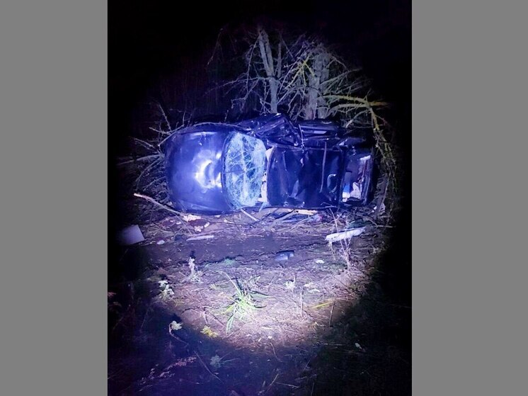 В воронежском селе Елань-Колено погибла автоледи из Москвы