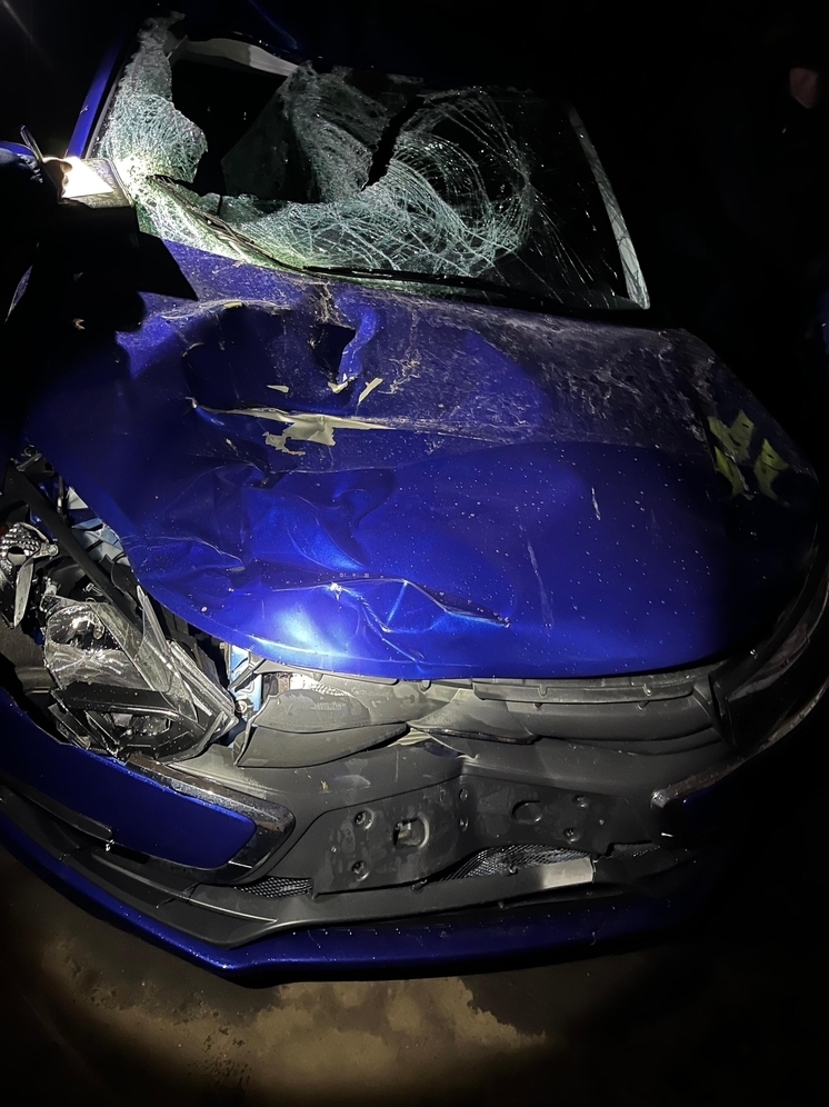 На трассе Орёл-Брянск насмерть сбили пешехода