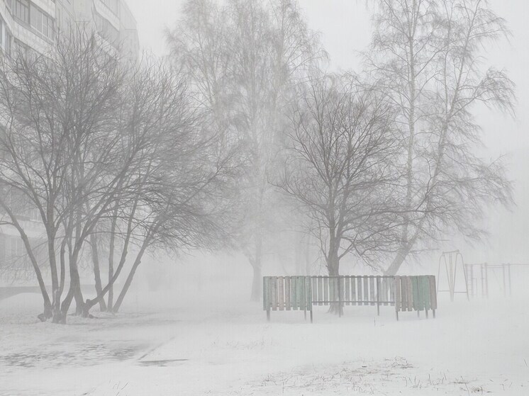 700 новосибирские школьников переведены на дистанционное обучение