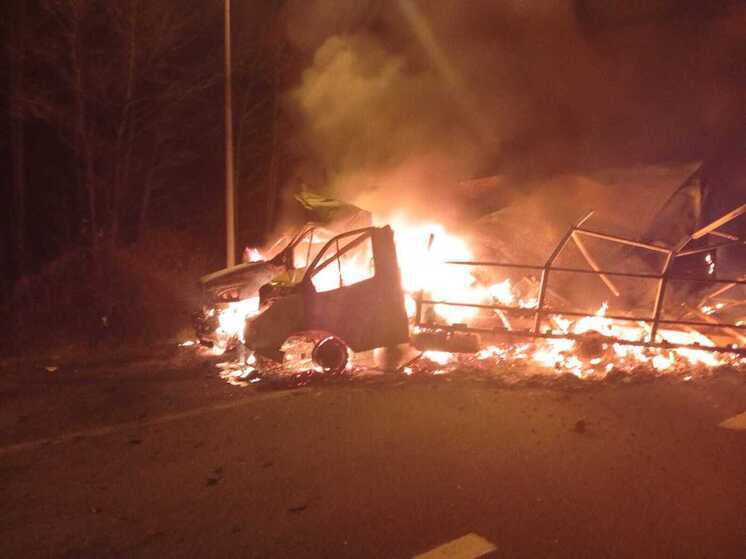 Появились кадры с места смертельной аварии на трассе М5 в Пензенской области, где столкнулись Газель и ГАЗ Некст