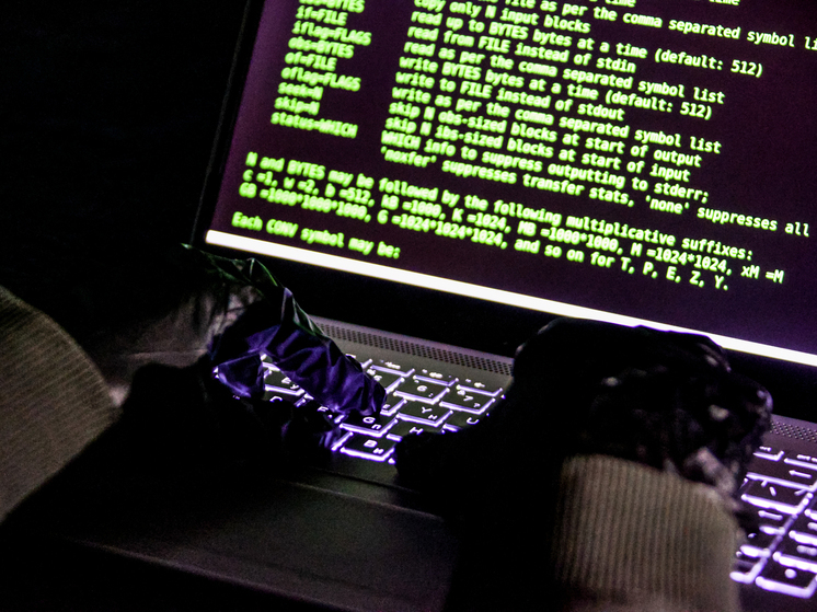 В МВД предупредили, что мошенники создают чаты "поиска пропавших" на СВО