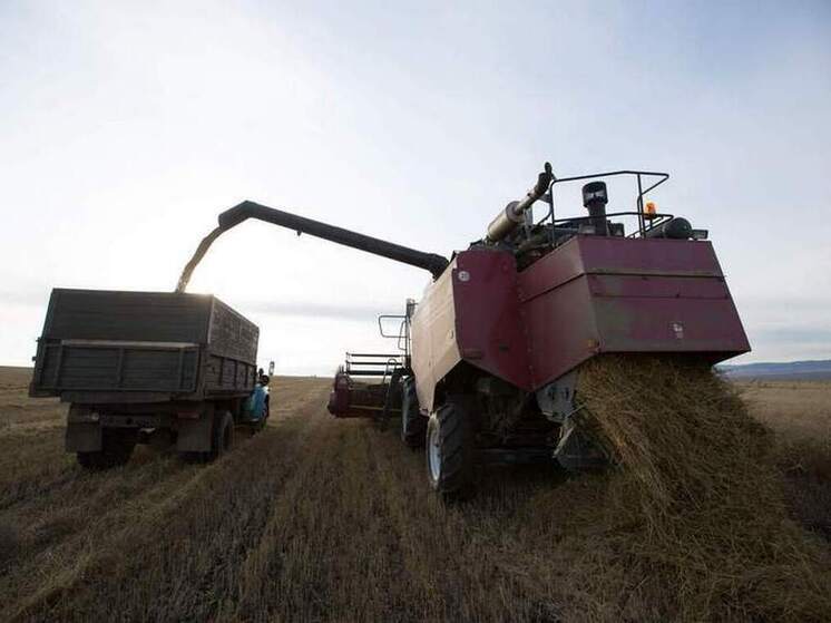Минкультуры Бурятии поручено спродюсировать спектакль о сельском хозяйстве