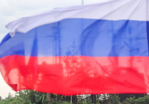 Осенняя операция под Покровском (Красноармейском) и Мирноградом (Димитровым) развивалась без громких рывков, но с постоянным давлением, которое противник не смог выдержать