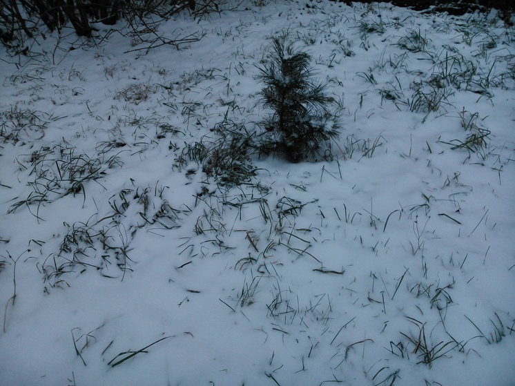 Погода в Перми снова будет переменчивой