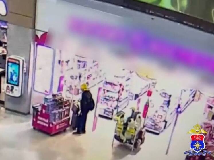 Взрослый петербуржец не устоял перед бьюти-кейсом в «Пулково» и украл его