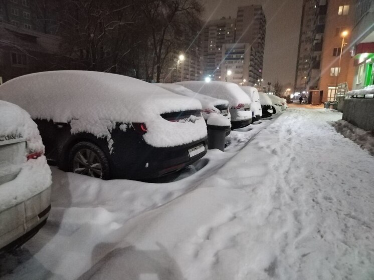 В Самаре введут новые правила перемещения автомобилей для снегоуборки