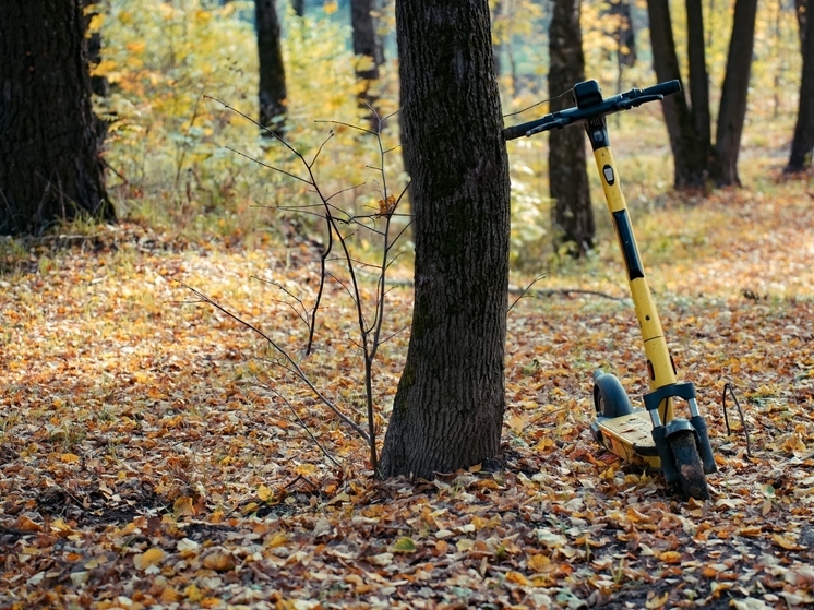 В Ясногорске полиция вычислила подозреваемого в краже электросамоката