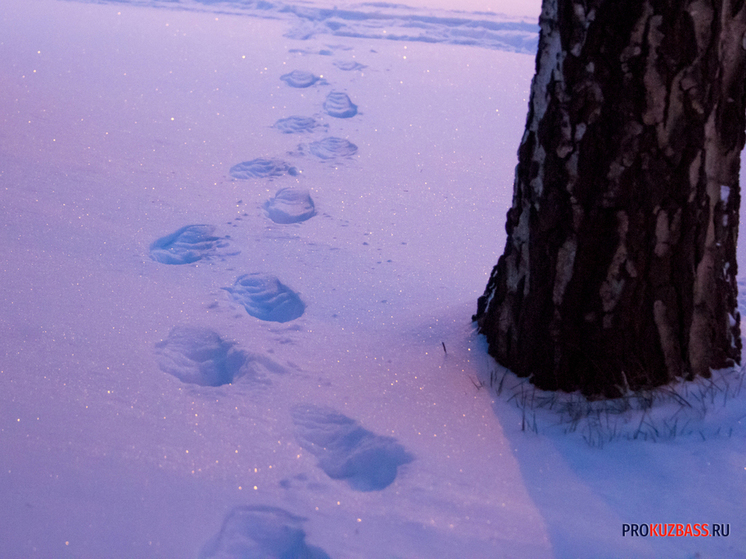 В Новокузнецке ветер создал редкие снежные рулоны на открытой местности