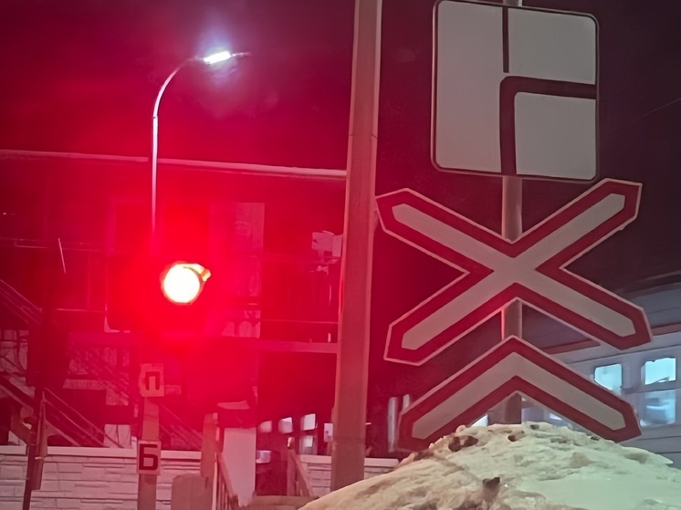 Октябрьская железная дорога перешла на усиленный режим работы из-за непогоды