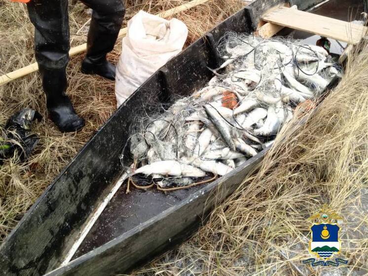 В Бурятии задержан браконьер, наловивший омуля на сумму около 1,7 млн рублей