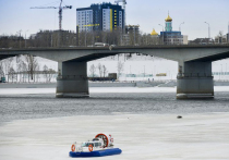 24 ноября в мире отмечается День моржа - праздник в честь тихоокеанских обитателей, который в России знаменует начало зимнего плавания