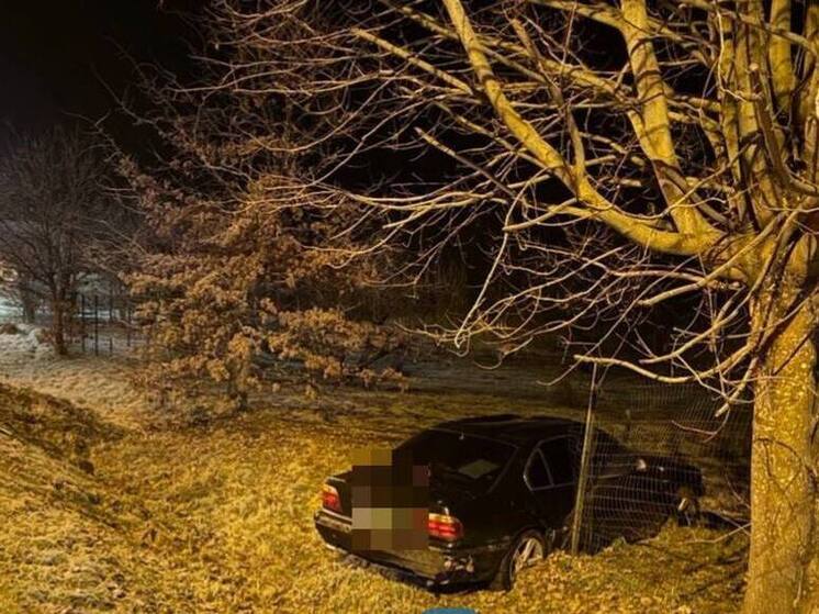 Ребенок пострадал под Гвардейском при съезде BMW в кювет