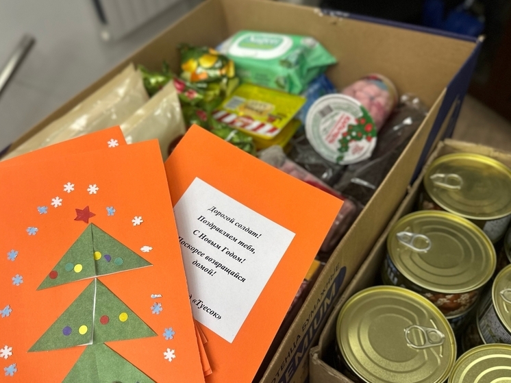 «Новогодняя почта»: примите участие в сборе посылок участникам СВО
