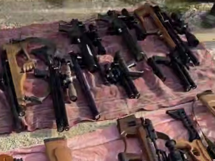 Мужчина из Геленджика подозревается в хранении и изготовлении оружия