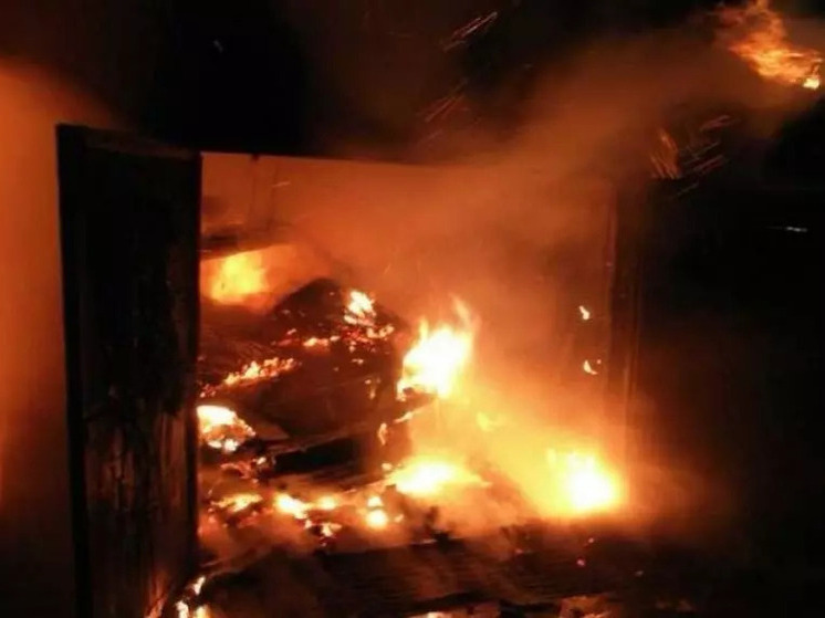 На минувшей неделе в Ростовской области случился сорок один пожар: есть жертвы