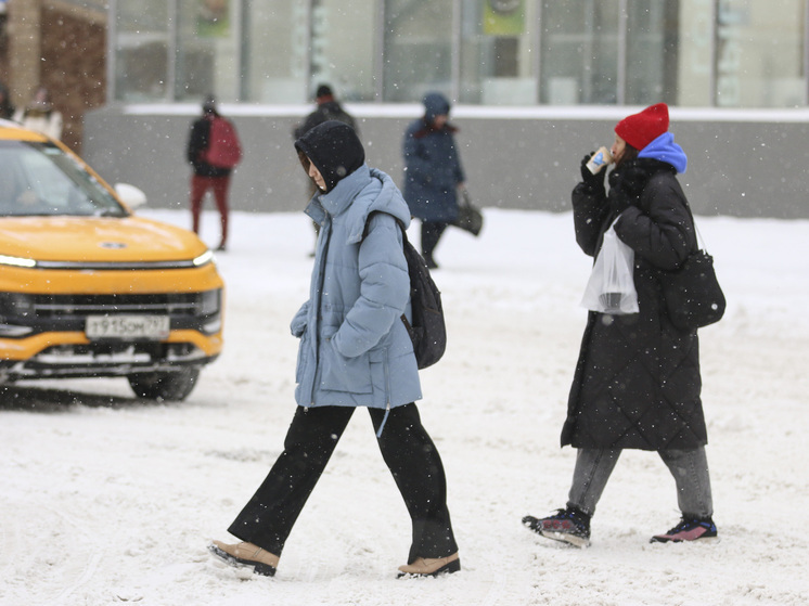 Синоптик Шувалов: 1 и 2 декабря температура воздуха в Москве составит около +2 градусов