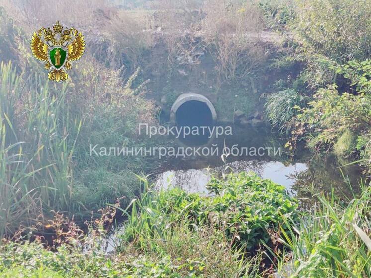 Суд заставил компанию в Советске очищать стоки в Неман