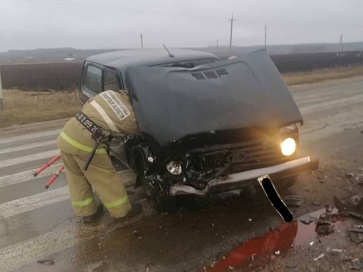 «Гранта» и «Нива» столкнулись в Богатовском районе Самарской области 24 ноября