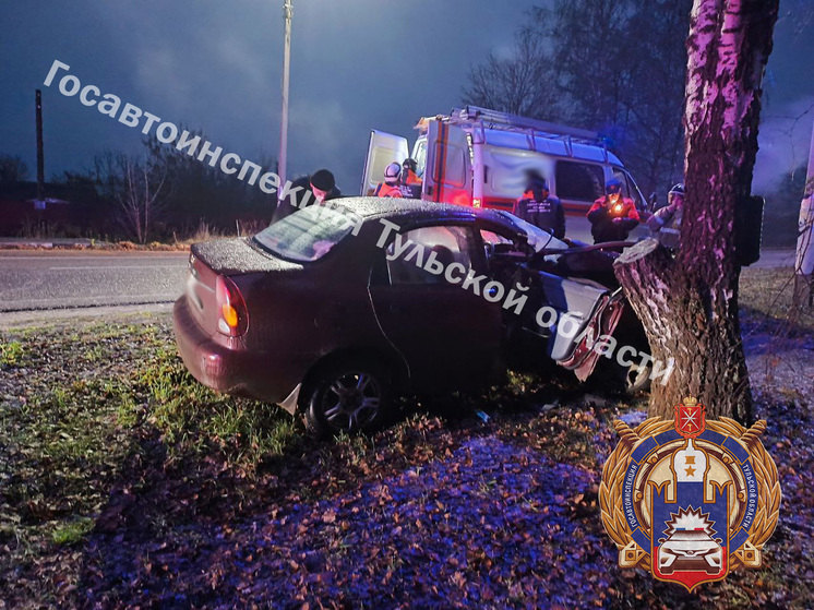 Под Тулой двое человек госпитализированы после столкновения авто с деревом