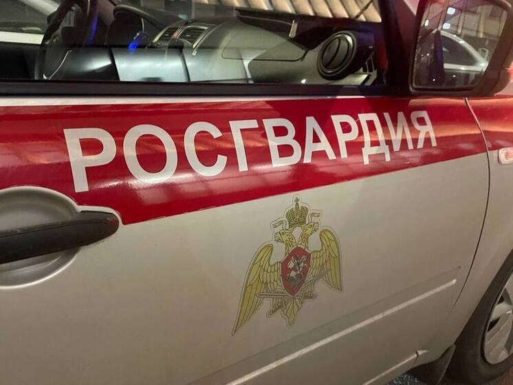 Черняховские росгвардейцы задержали подозреваемого в грабеже