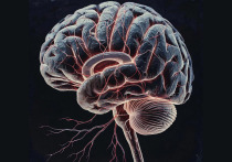 Учёные из Калифорнийского университета в Санта-Барбаре разработали двухминутное упражнение, которое помогает преодолеть прокрастинацию, снижая эмоциональное сопротивление перед началом задачи. На основе этого метода создано бесплатное приложение, превращающее научные открытия в практический инструмент для повседневного использования
