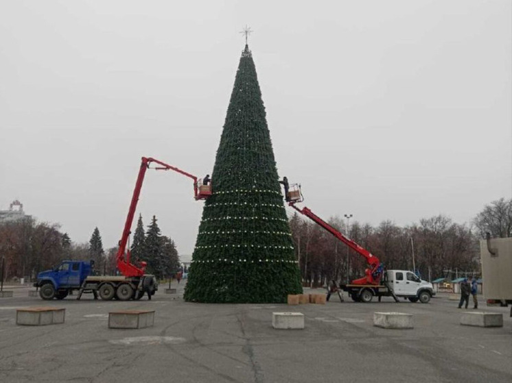Главную новогоднюю елку Ульяновска украсили на Соборной площади