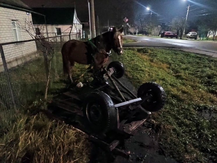 В Орле в серьёзное ДТП попала гужевая повозка